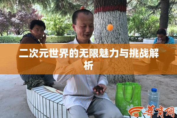 二次元世界的无限魅力与挑战解析