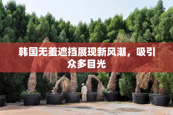 韩国无羞遮挡展现新风潮，吸引众多目光