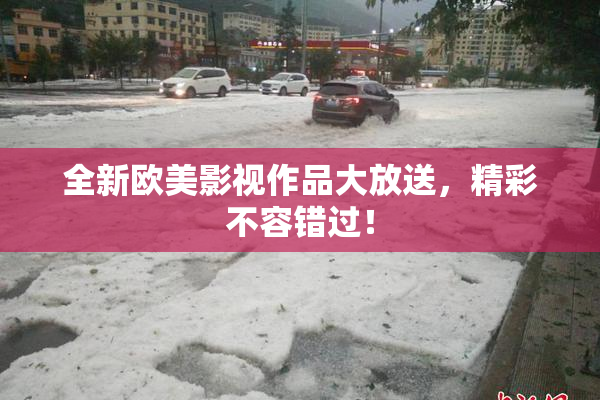 全新欧美影视作品大放送，精彩不容错过！