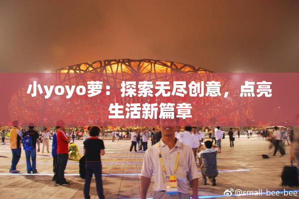 小yoyo萝：探索无尽创意，点亮生活新篇章