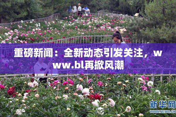 重磅新闻：全新动态引发关注，www.bl再掀风潮