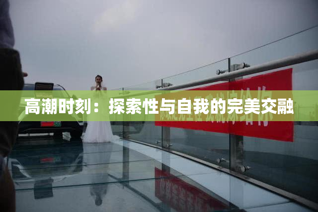 高潮时刻：探索性与自我的完美交融