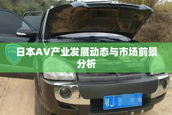日本AV产业发展动态与市场前景分析