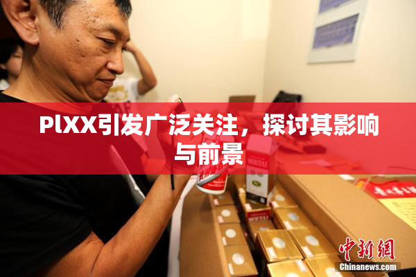 PlXX引发广泛关注，探讨其影响与前景