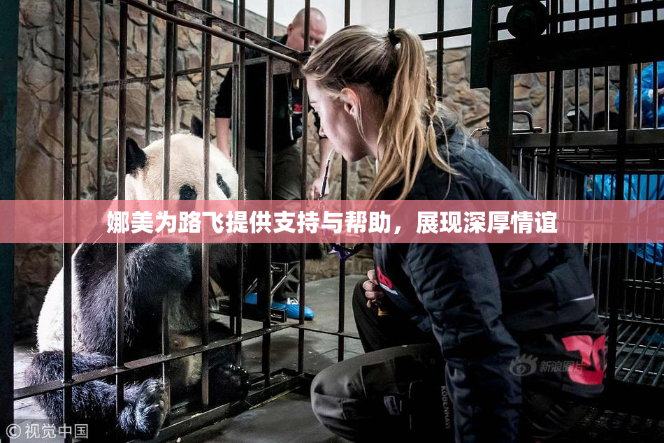 娜美为路飞提供支持与帮助，展现深厚情谊