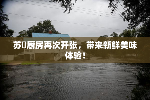 苏玥厨房再次开张，带来新鲜美味体验！