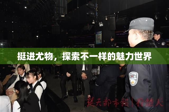 挺进尤物，探索不一样的魅力世界