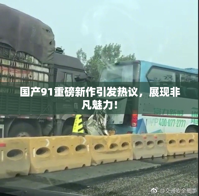 国产91重磅新作引发热议，展现非凡魅力！