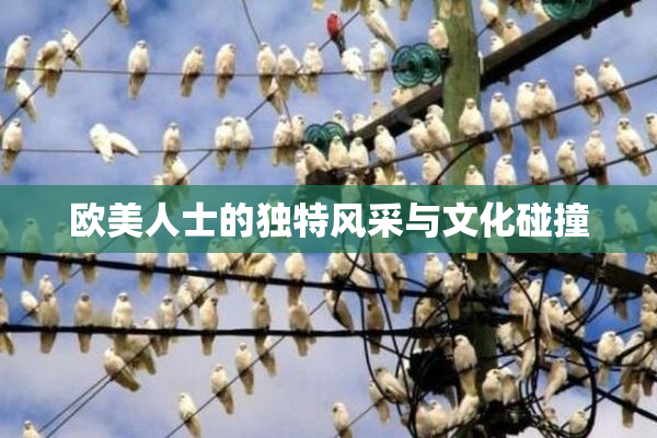 欧美人士的独特风采与文化碰撞