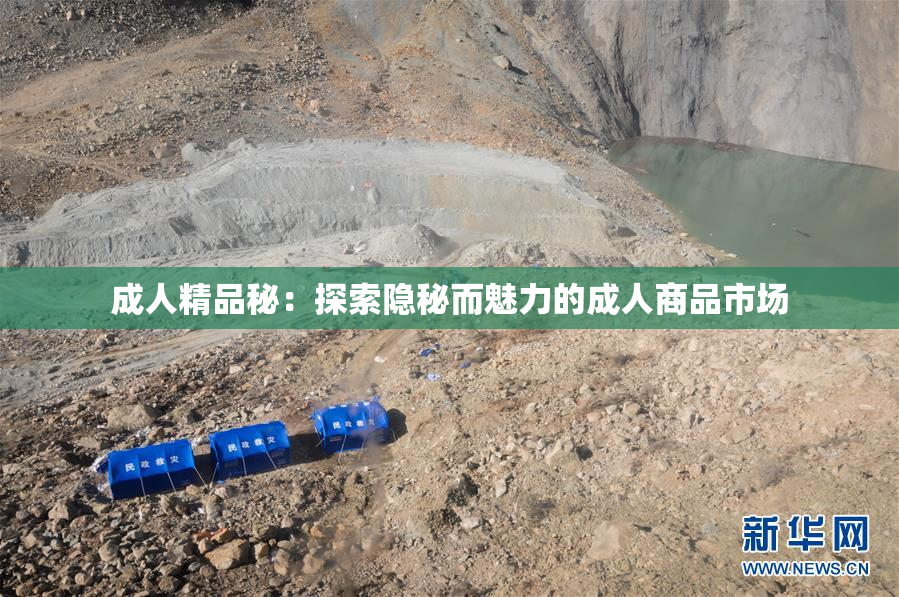 成人精品秘：探索隐秘而魅力的成人商品市场