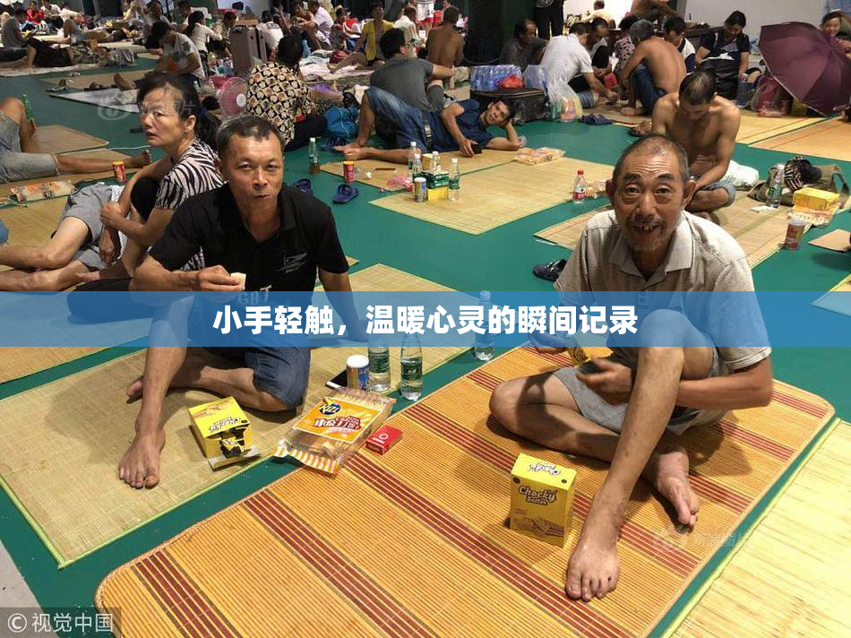 小手轻触，温暖心灵的瞬间记录