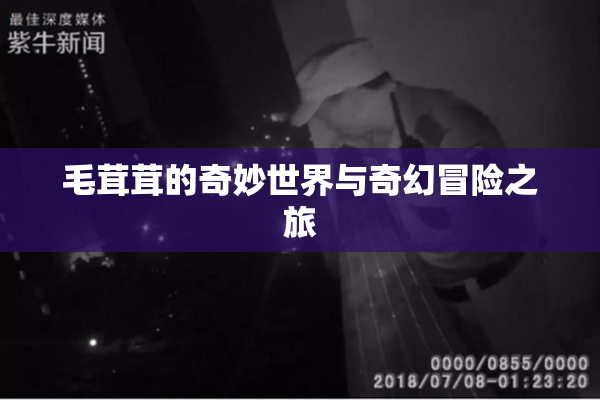 毛茸茸的奇妙世界与奇幻冒险之旅