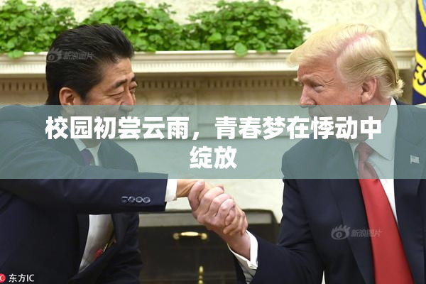 校园初尝云雨，青春梦在悸动中绽放