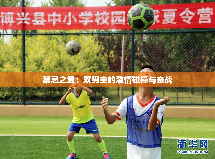 禁忌之爱：双男主的激情碰撞与奋战