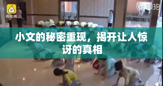 小文的秘密重现，揭开让人惊讶的真相
