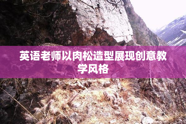 英语老师以肉松造型展现创意教学风格