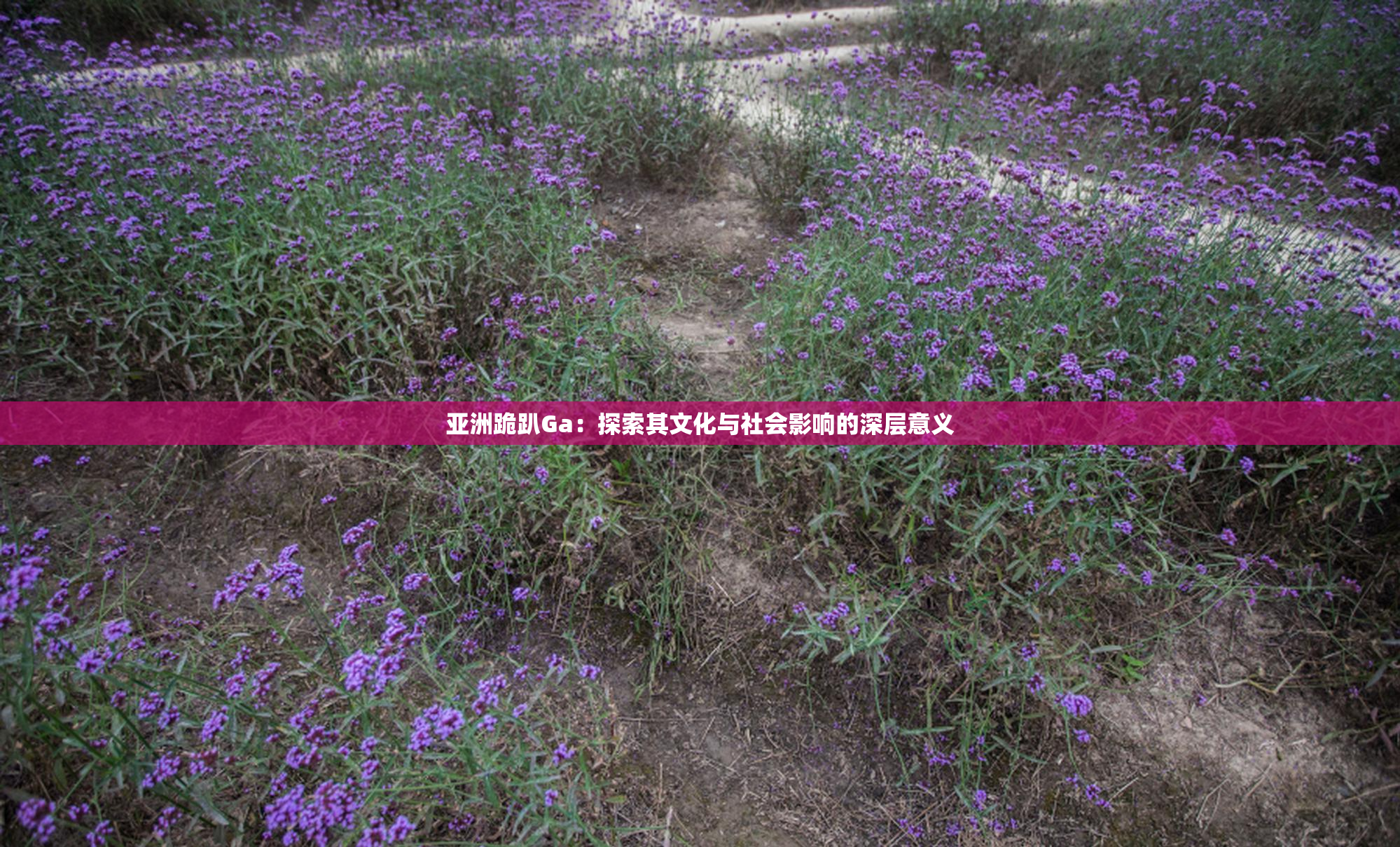 亚洲跪趴Ga：探索其文化与社会影响的深层意义