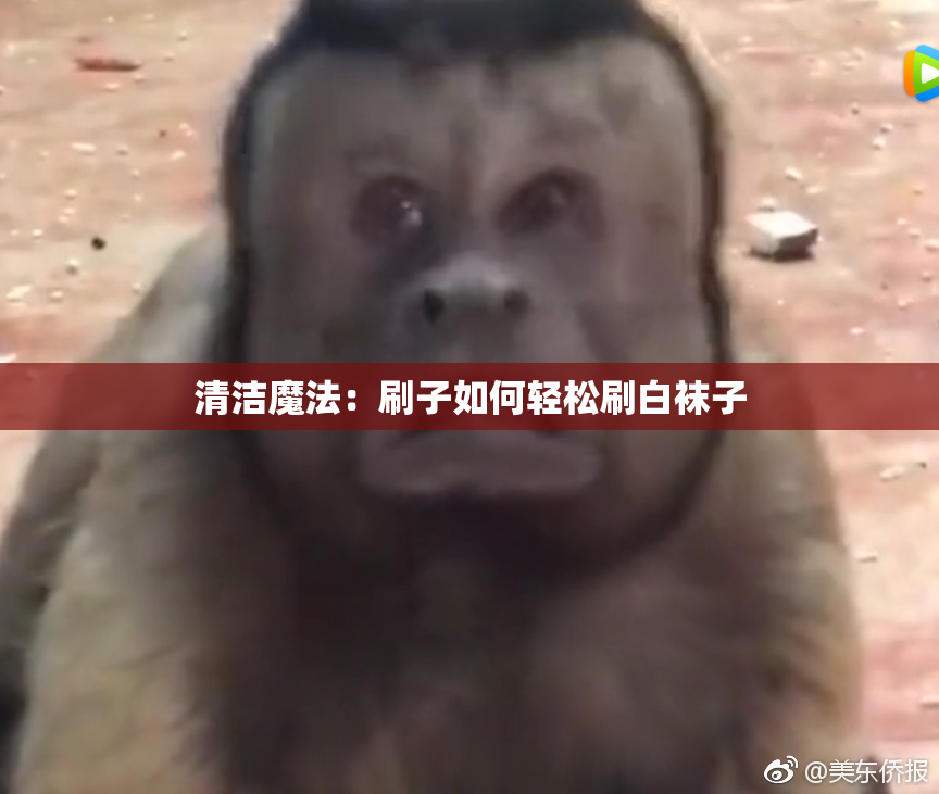 清洁魔法：刷子如何轻松刷白袜子