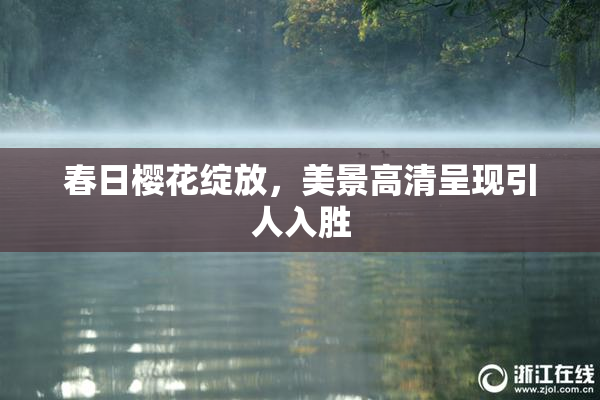 春日樱花绽放，美景高清呈现引人入胜