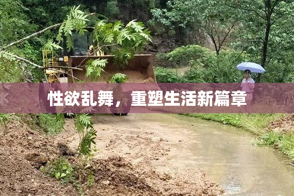 性欲乱舞，重塑生活新篇章