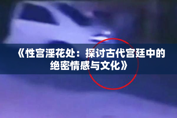 《性宫淫花处：探讨古代宫廷中的绝密情感与文化》