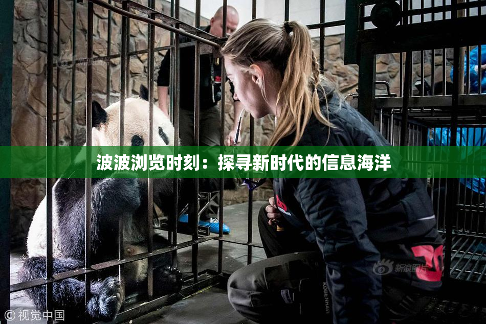 波波浏览时刻：探寻新时代的信息海洋