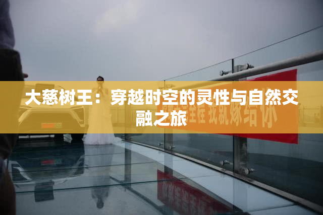 大慈树王：穿越时空的灵性与自然交融之旅