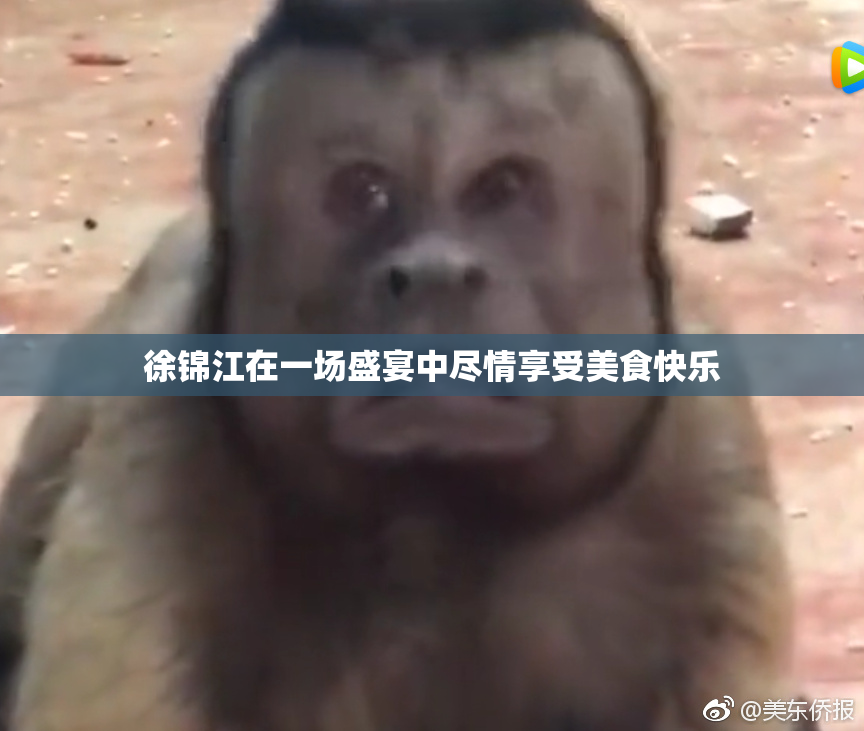 徐锦江在一场盛宴中尽情享受美食快乐