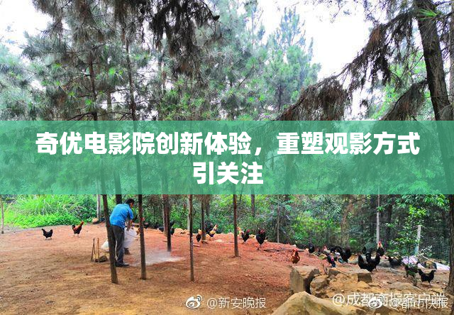奇优电影院创新体验，重塑观影方式引关注
