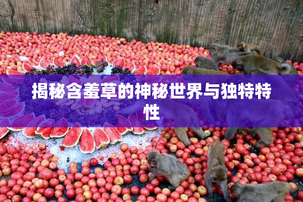 揭秘含羞草的神秘世界与独特特性