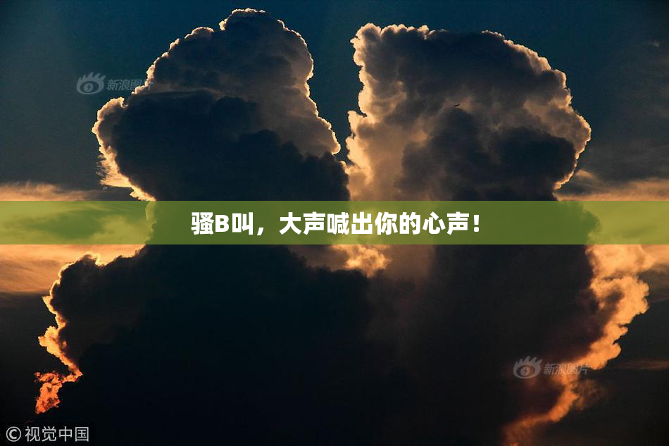 骚B叫，大声喊出你的心声！