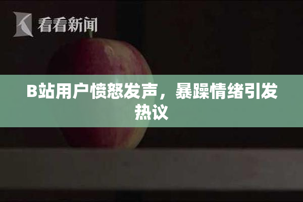 B站用户愤怒发声，暴躁情绪引发热议