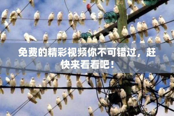 免费的精彩视频你不可错过，赶快来看看吧！