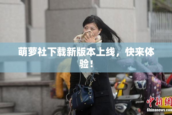 萌萝社下载新版本上线，快来体验！