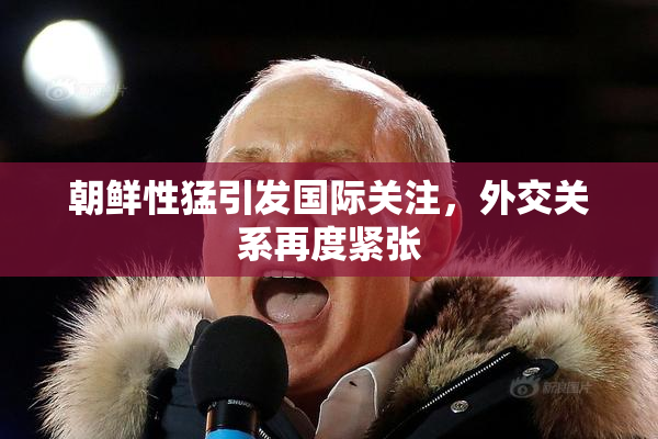朝鲜性猛引发国际关注，外交关系再度紧张