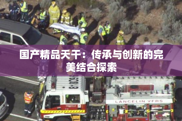 国产精品天干：传承与创新的完美结合探索