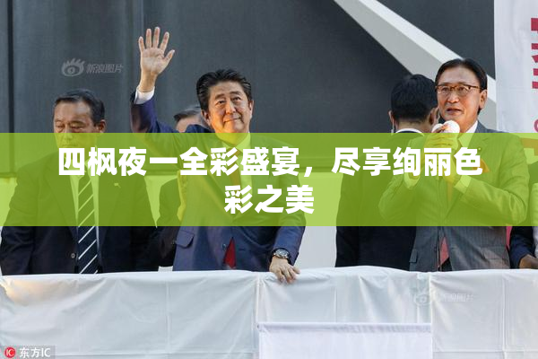 四枫夜一全彩盛宴，尽享绚丽色彩之美