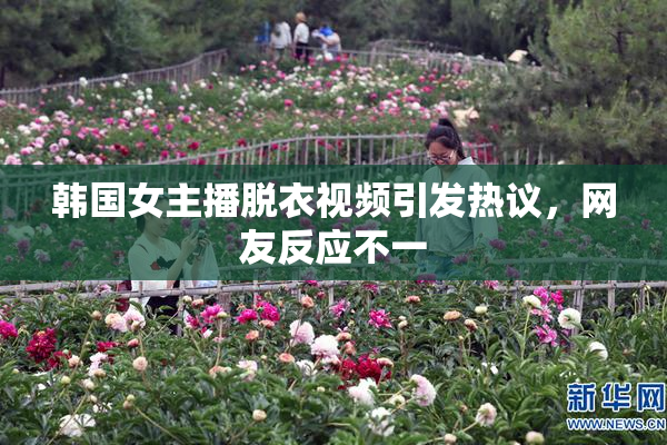 韩国女主播脱衣视频引发热议，网友反应不一
