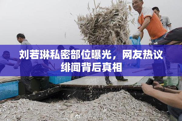 刘若琳私密部位曝光，网友热议绯闻背后真相