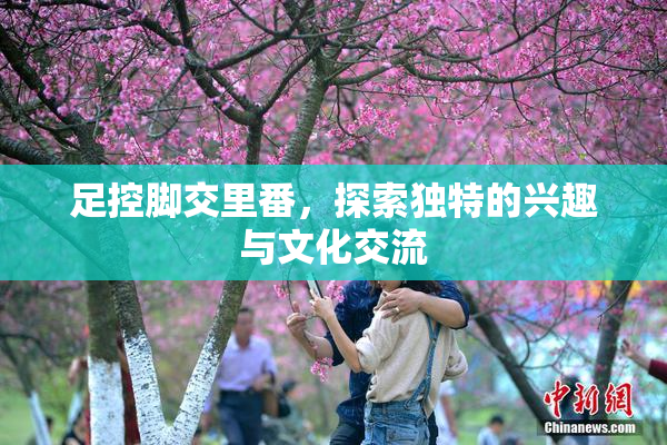 足控脚交里番，探索独特的兴趣与文化交流