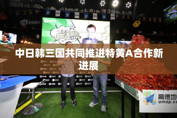 中日韩三国共同推进特黄A合作新进展