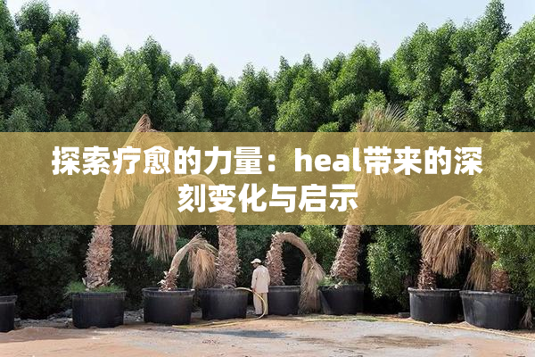 探索疗愈的力量：heal带来的深刻变化与启示