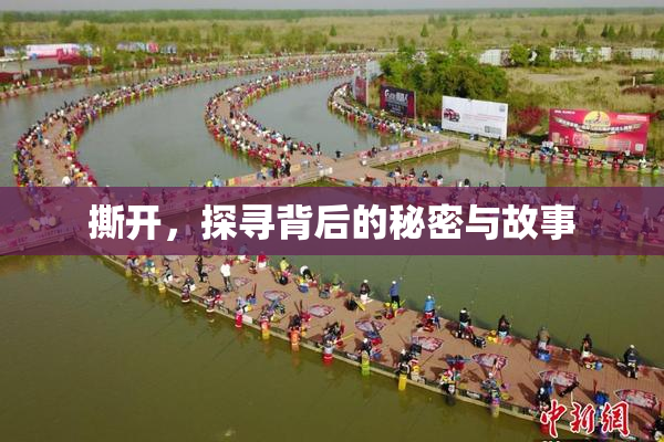 撕开，探寻背后的秘密与故事