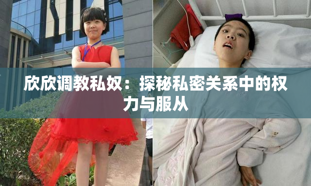 欣欣调教私奴：探秘私密关系中的权力与服从
