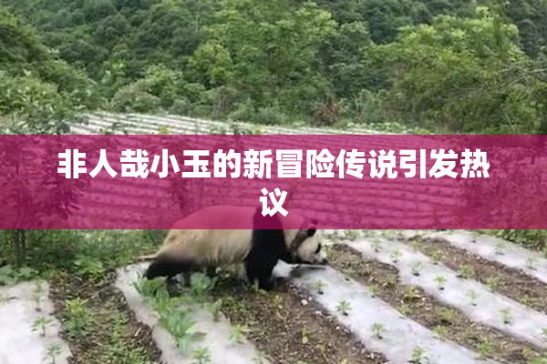非人哉小玉的新冒险传说引发热议