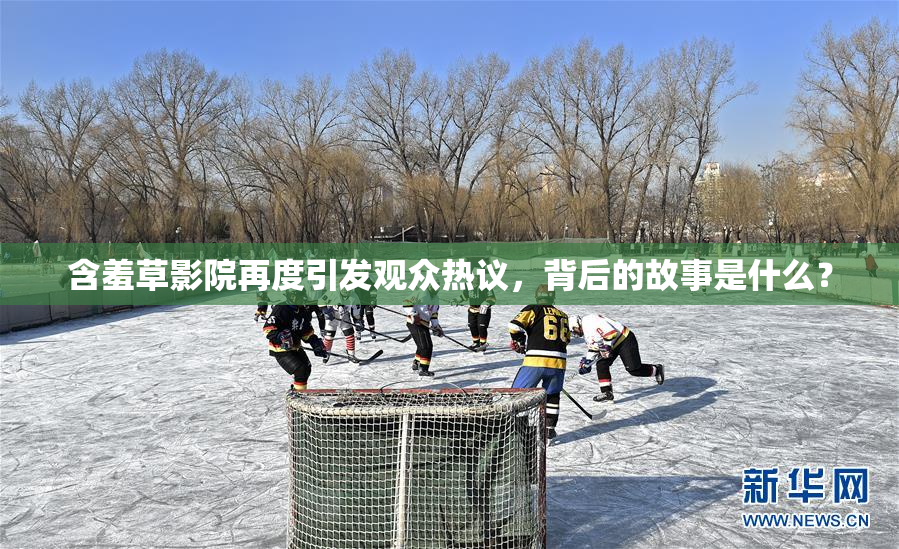 含羞草影院再度引发观众热议，背后的故事是什么？