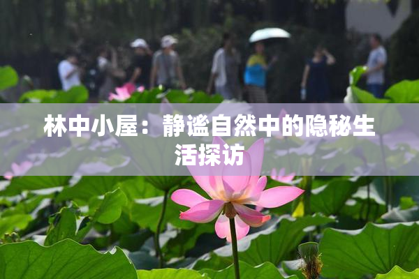 林中小屋：静谧自然中的隐秘生活探访