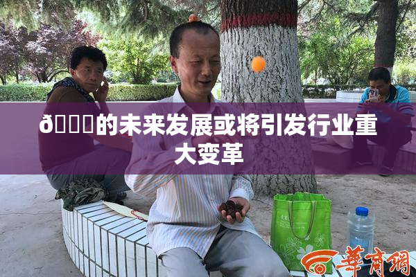 🈚的未来发展或将引发行业重大变革