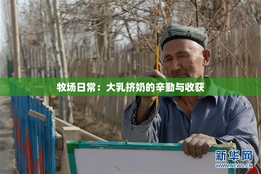 牧场日常：大乳挤奶的辛勤与收获