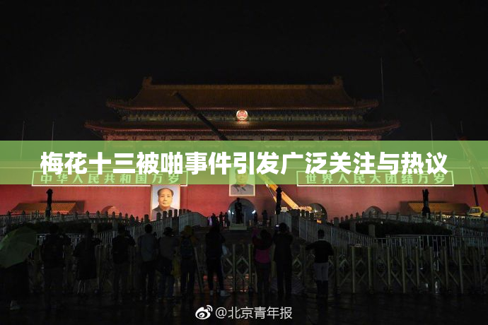 梅花十三被啪事件引发广泛关注与热议